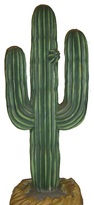 cactus toss